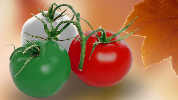 szkoła-języka-włoskiego-kursy-stacjonarne-i-online