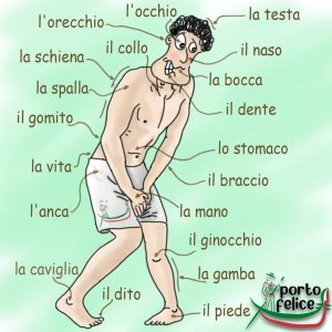 il corpo - obrazkowy słownik włoskiego