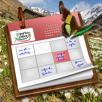 Kursy włoskiego wiosna 2026 - Porto Felice